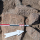 The remains of the game found at the site